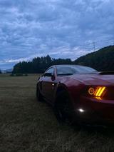 Ford Mustang 4.0L  310PS - Ford Mustang mit LPG-Antrieb