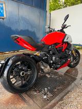 Ducati Diavel 1260 S - TÜV/Service neu - wenig KM  - DUCATI DIAVEL 1260 S