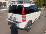 Fiat Panda 1.4 16V 100HP Abarth/Klima/Sportauspuff - Fiat Panda: 1.4
