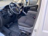 Opel Movano Cargo L4H2 3,5t Edition*Kamera*AHK*DAB - : Weiß, Van