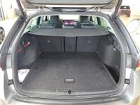 Skoda Octavia - Vorschau Bild 6