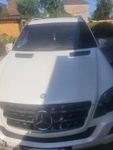 Mercedes-Benz Mercedes ML 350 4matic - aus 2010: Mercedes Ml