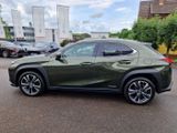 Lexus UX 250h Style Edition - Lexus in Stuttgart