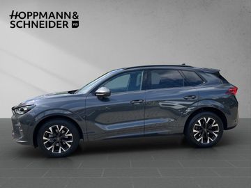 Cupra Terramar - 3
