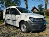 Volkswagen Caddy  Kastenwagen 1.4 BiFuel TGI *Klima * AHK 