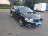 Skoda Octavia 1.6 TDI SCR DSG Ambition Ambition,AHK - Skoda Octavia mit Diesel-Antrieb: Limousine, 1.6
