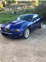 Ford Mustang - Ford Mustang