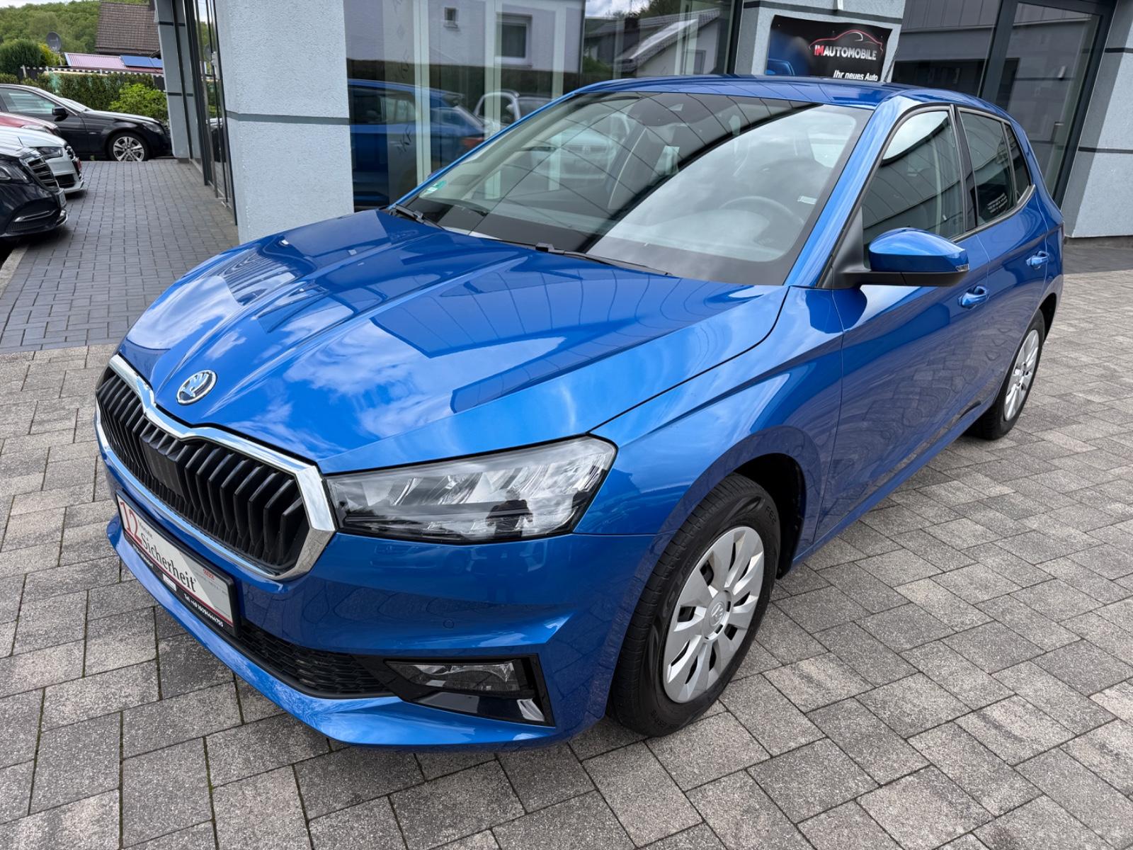 Skoda Fabia 1.0 TSI Selection*R-Kamera*Apple Car Play*, миниатюра 3