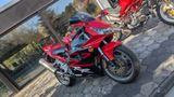 Honda CBR 900 RR - Offers matching your search criteria