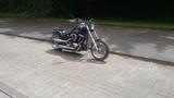 Harley-Davidson Softail Standard  - Offers