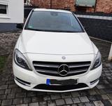 Mercedes-Benz B 180 CDI BlueEFFICIENCY - Sports Tourer - Mercedes-Benz B 180: Cdi Sport