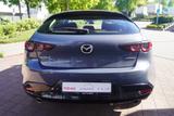 Mazda 3 2.0 M-Hybrid Selection LED Navi Head-Up Kamera - Mazda Gebrauchtwagen in Dresden