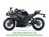 Kawasaki NINJA 650 2026- ALLE FARBEN SOFORT LIEFERBAR !!! - KAWASAKI 650 F
