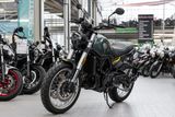 Benelli Leoncino 500 Trail, unfallfrei, 1. Hand - BENELLI LEONCINO