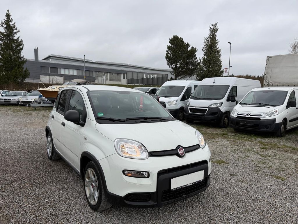 Image of Fiat Panda