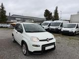 Fiat Panda Base * Klima* - gebrauchte Fiat Panda aus dem Jahr 2022