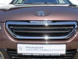 Peugeot 2008 82 VTI Active,Klima,Panoramadach,Allwetter - Peugeot 2008: Kombi