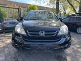 Honda CR-V Executive 4WD Leder Panorama Xenon  AHK - Honda CR-V in Ludwigshafen