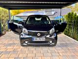 Smart ForTwo cabrio (90 PS) Prime Edition  - Smart ForTwo von privat