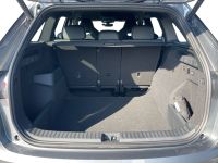 Skoda Kodiaq - Vorschau Bild 7