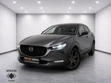 Mazda CX-30 Selection AWD Navi/MemorySitze/LED/ACC/ElH - graue Mazda CX-30