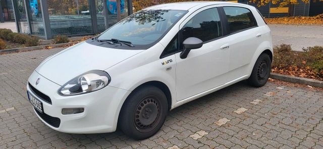 Fiat Punto 2014