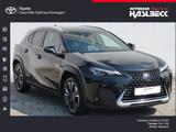 Lexus UX 250h Style Edition - Lexus UX aus 2023