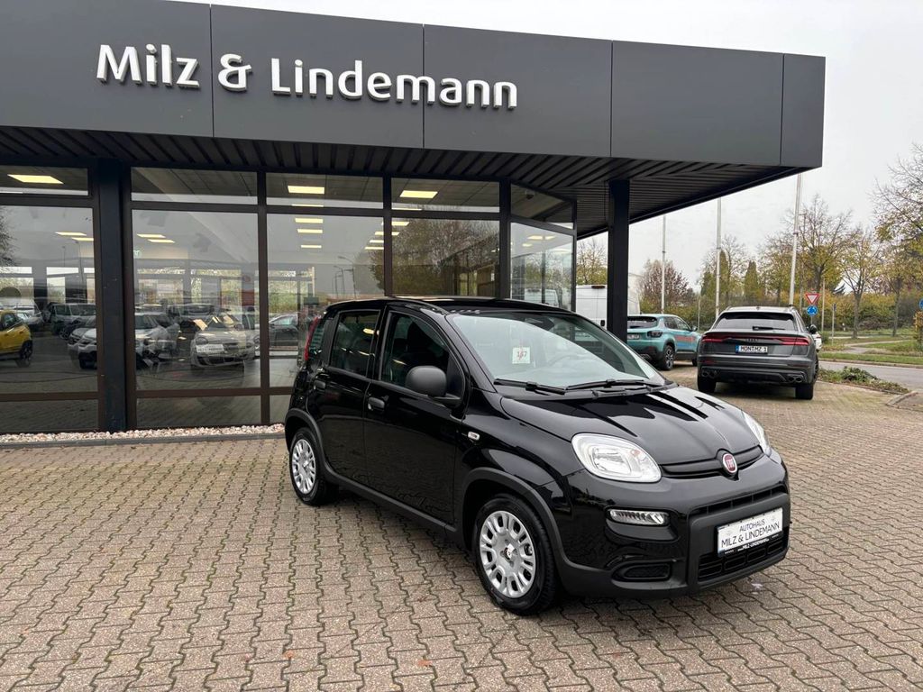 Fiat Andere