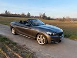 BMW 220d Cabrio / M-Paket / H&K / AHK / Al... - BMW 220 in Stuttgart