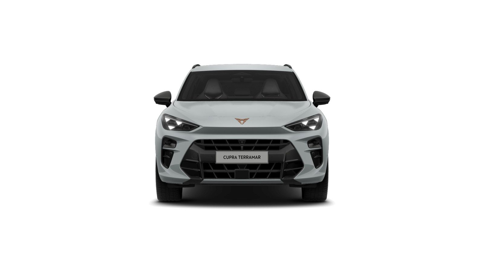 Cupra Terramar - Bild 3