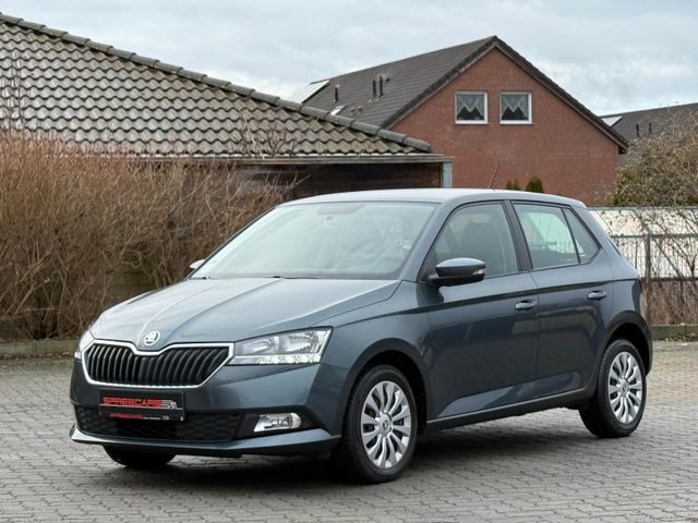 Skoda Fabia Ambition*DSG*KLIMA*SHZ*TEMPO*nur 31.400 KM