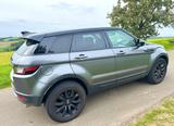 Land Rover Range Rover Evoque 2.0 Si4 SE SE - Land Rover Range Rover Evoque SE mit Benzin-Antrieb