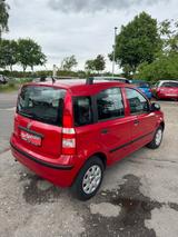 Fiat Panda 1.2 8V Dynamic - Fiat Panda Dynamic mit Benzin-Antrieb