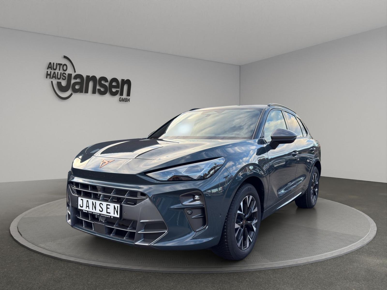 Cupra Terramar DSG +ACC+AHK+APP+HuD+360° Kamera+Matrix