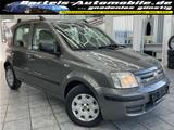 Fiat New Panda 1.2 Dynamic, Klima, Bluetooth, HU neu! - Fiat New Panda Gebrauchtwagen
