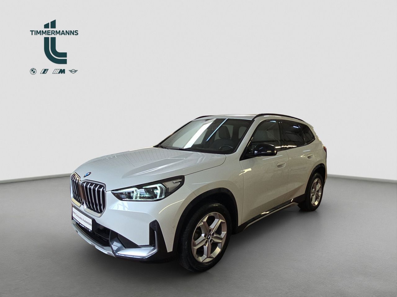 BMW X1 sDrive18d Steptronic Head-Up AHK