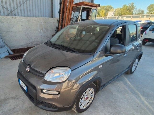 Image of Fiat Panda