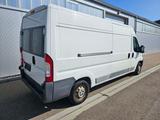 Fiat Ducato Kastenwagen Weiß L4H2 - Fiat Ducato: Kastenwagen