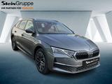 Skoda Octavia Combi 110kW 2.0 TDI Selection ACC Navi - Skoda Octavia Neuwagen