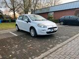 Fiat fiat punto 1.4 - Fiat Punto Gebrauchtwagen in Krefeld