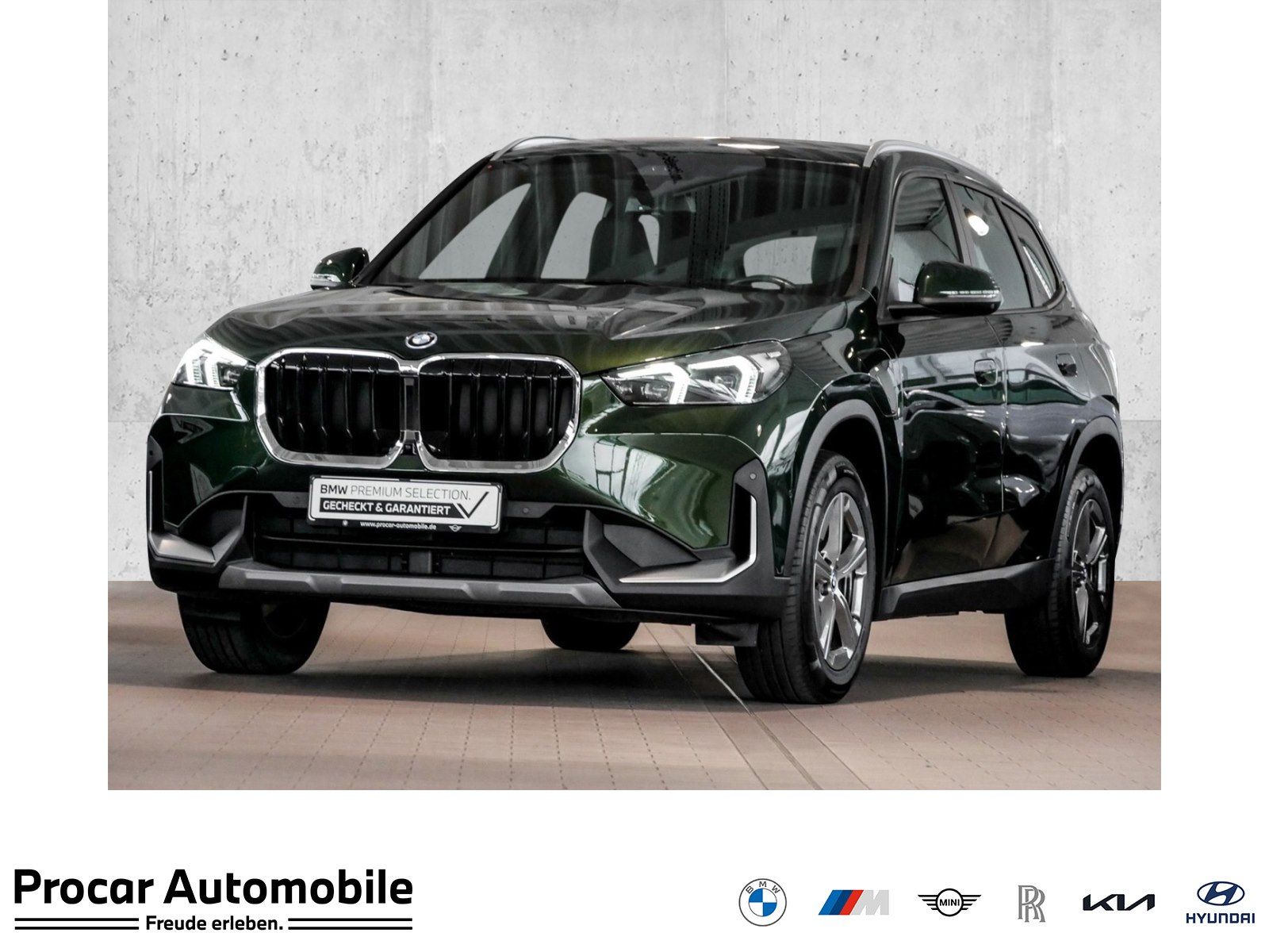 BMW X1 xDrive25e AHK HeadUp 360Grad Kamera Memory