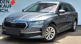 Skoda Octavia 2.0 TDI DSG Aktion Selection LED Kame...