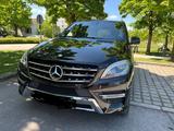 Mercedes-Benz Mercedes  ML 250 Blue TEC 4Matic AMG LINE - Mercedes-Benz ML 250: Privatanbieter