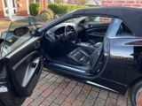 Jaguar XK 4.2L V8 Cabriolet  8x 20 Zoll Sommer / Winter - Jaguar: Cabrio