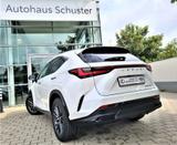 Lexus NX 450h+ E-FOUR Business*Connect Paket Plug-In - Lexus NX Business