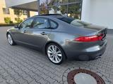 Jaguar XF 30d Portf.Autom.Absttempom.Sitzkühl.Heckrollo - Jaguar XF von privat