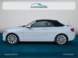 BMW 230i Cabrio Luxury Line Navi+E.Sitze Memo.+SHZ - gebrauchte BMW 230 aus dem Jahr 2018