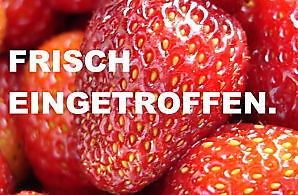 Angebot ansehen Dodge Caliber