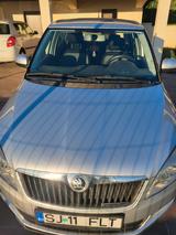 Skoda Fabia 1.2l TDI GreenLine GreenLine - Skoda Fabia mit Diesel-Antrieb: 1.2