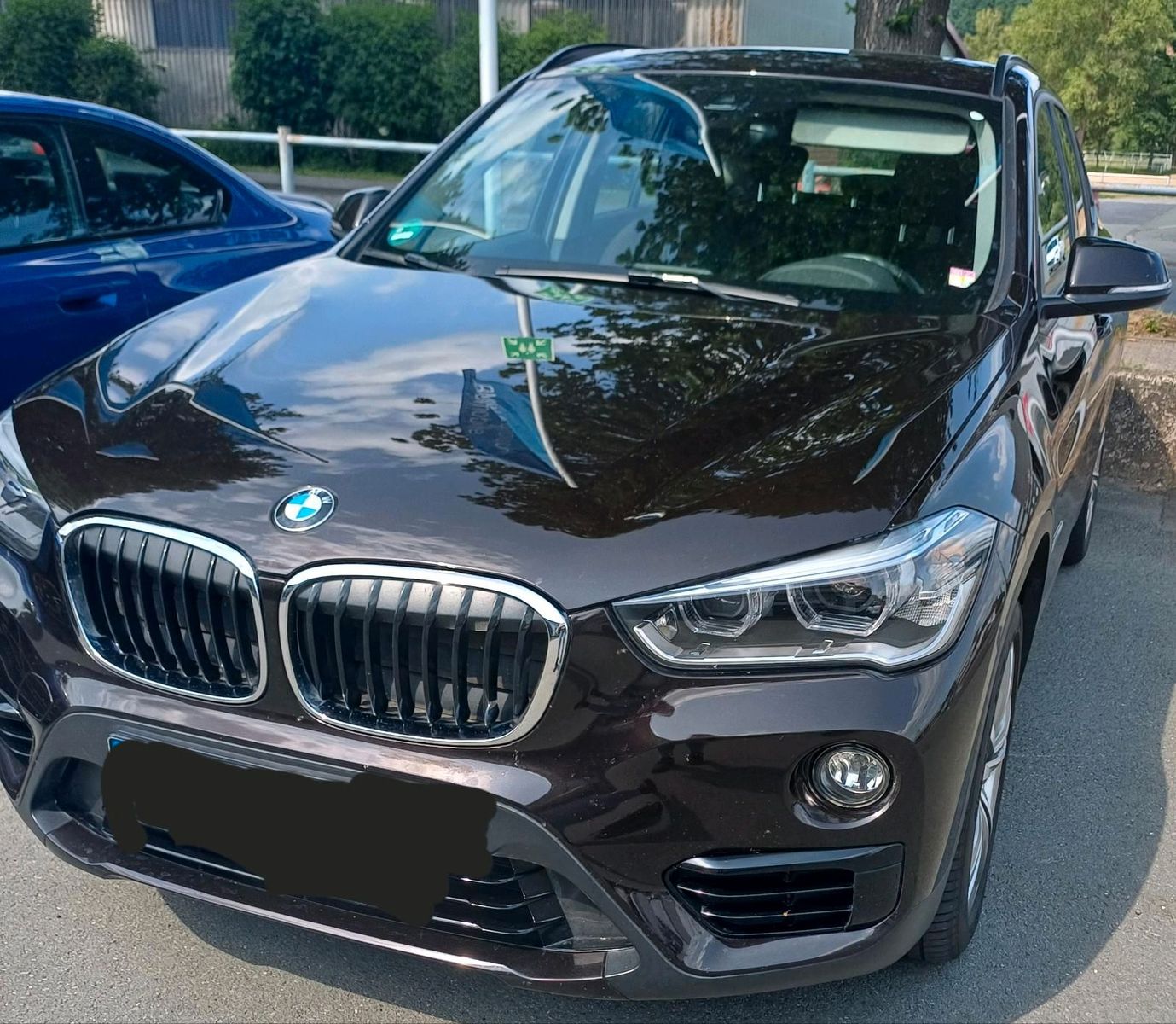 BMW BMW X 1 AHK, Panodach